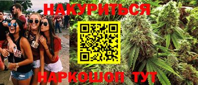 шишки Гатчина