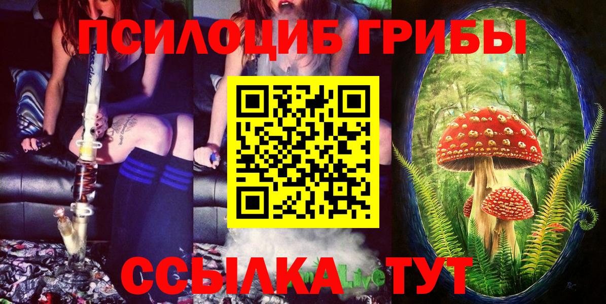 Псилоцибиновые грибы Magic Shrooms Губаха